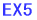 EX5