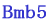 Bmb5