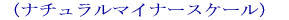 �i���W���[�X�P�[���j