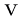 �X