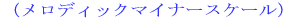 �i�����f�B�b�N�@�}�C�i�[�X�P�[���j
