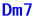 Dm7 
