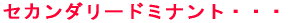 �Z�J���_���[�h�~�i���g 