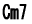 C7