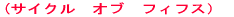 (�T�C�N���@�I�u�@�t�B�t�X�j